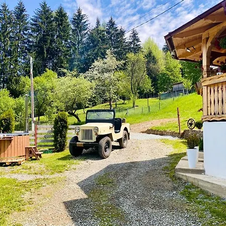Chalet Elena Borşa