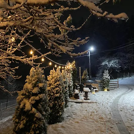 Elena Chalet Borşa